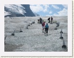Walking on Athabasca Glacier * 2592 x 1944 * (1.87MB)